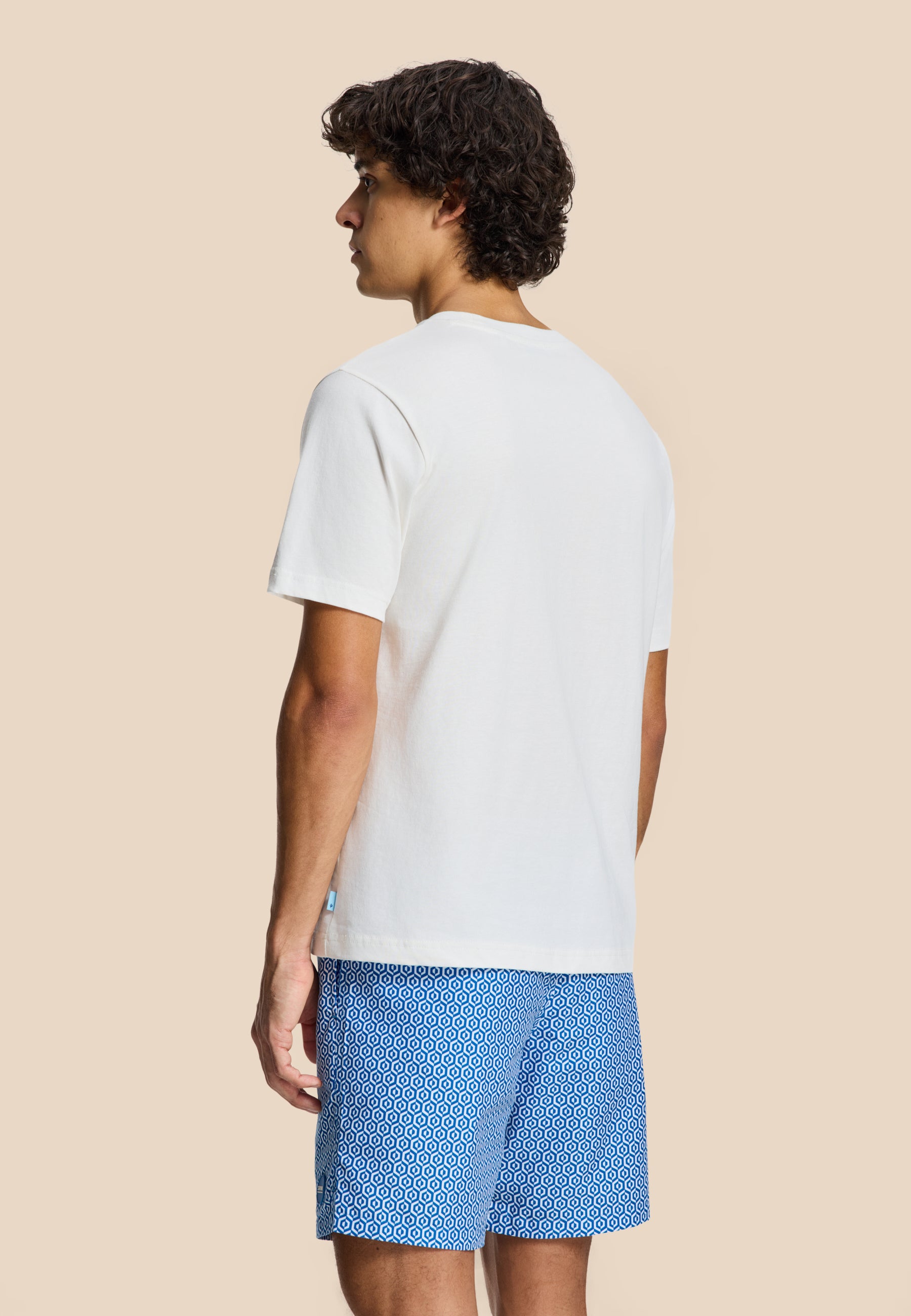 LIAM regular t-shirt paradise | white