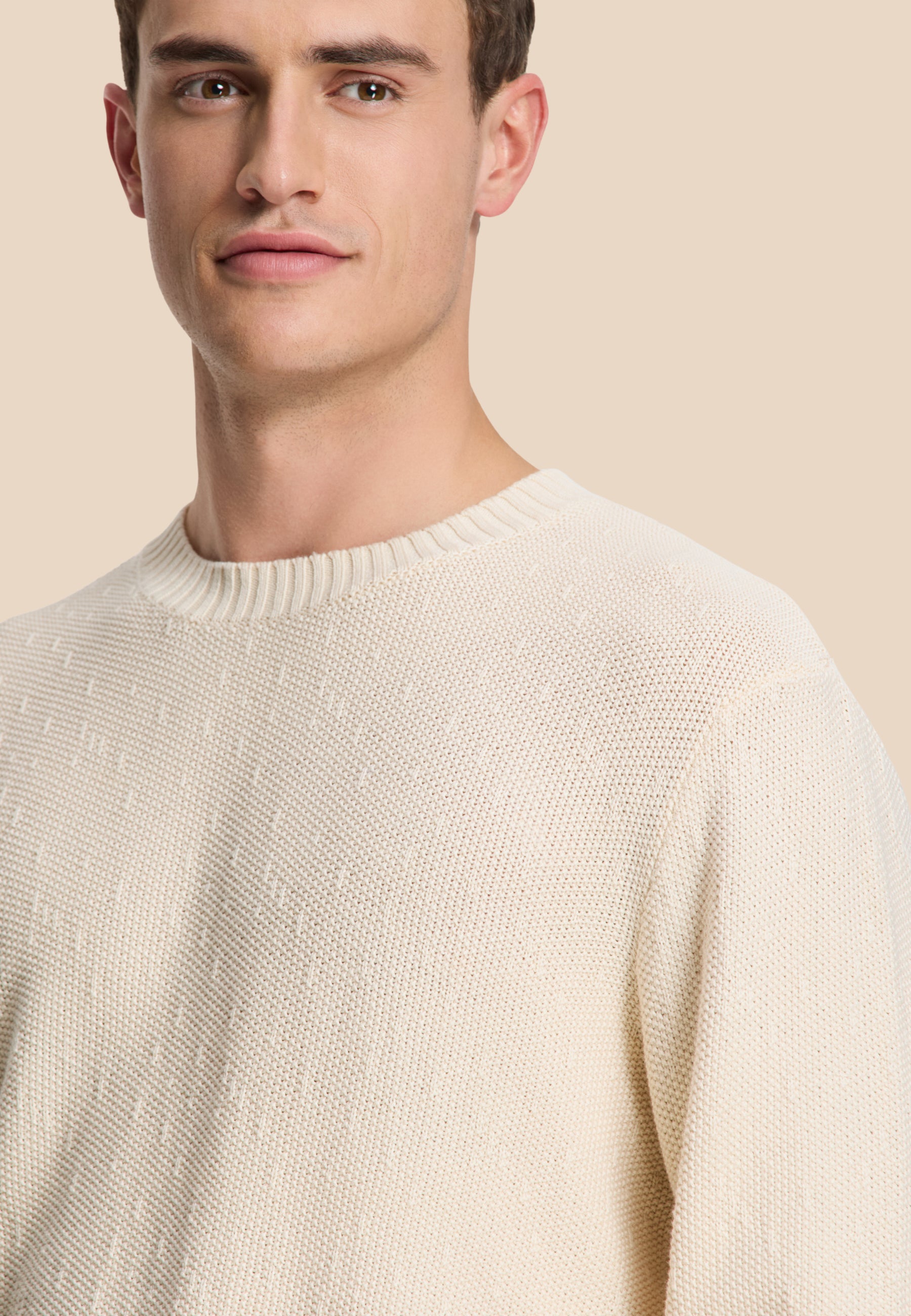 PALMER pullover solid | beige