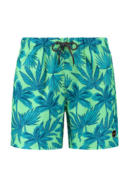 men swim shorts palm leaves