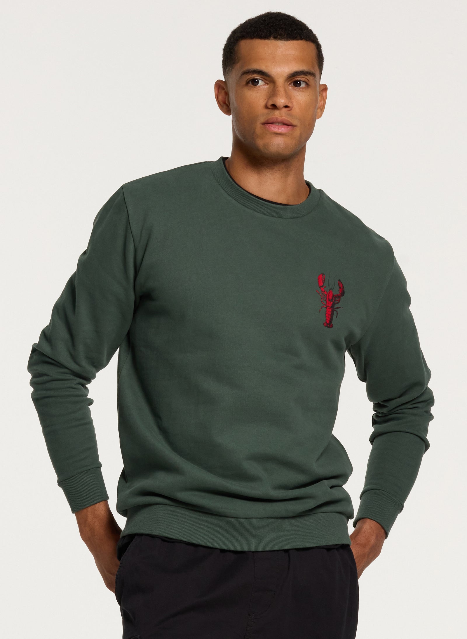 Men Lobster sweater