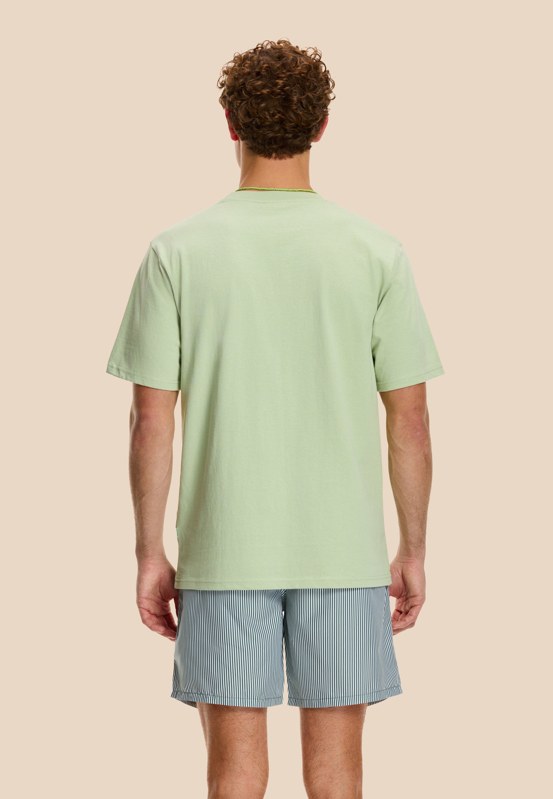 CORAL t-shirt | dust green