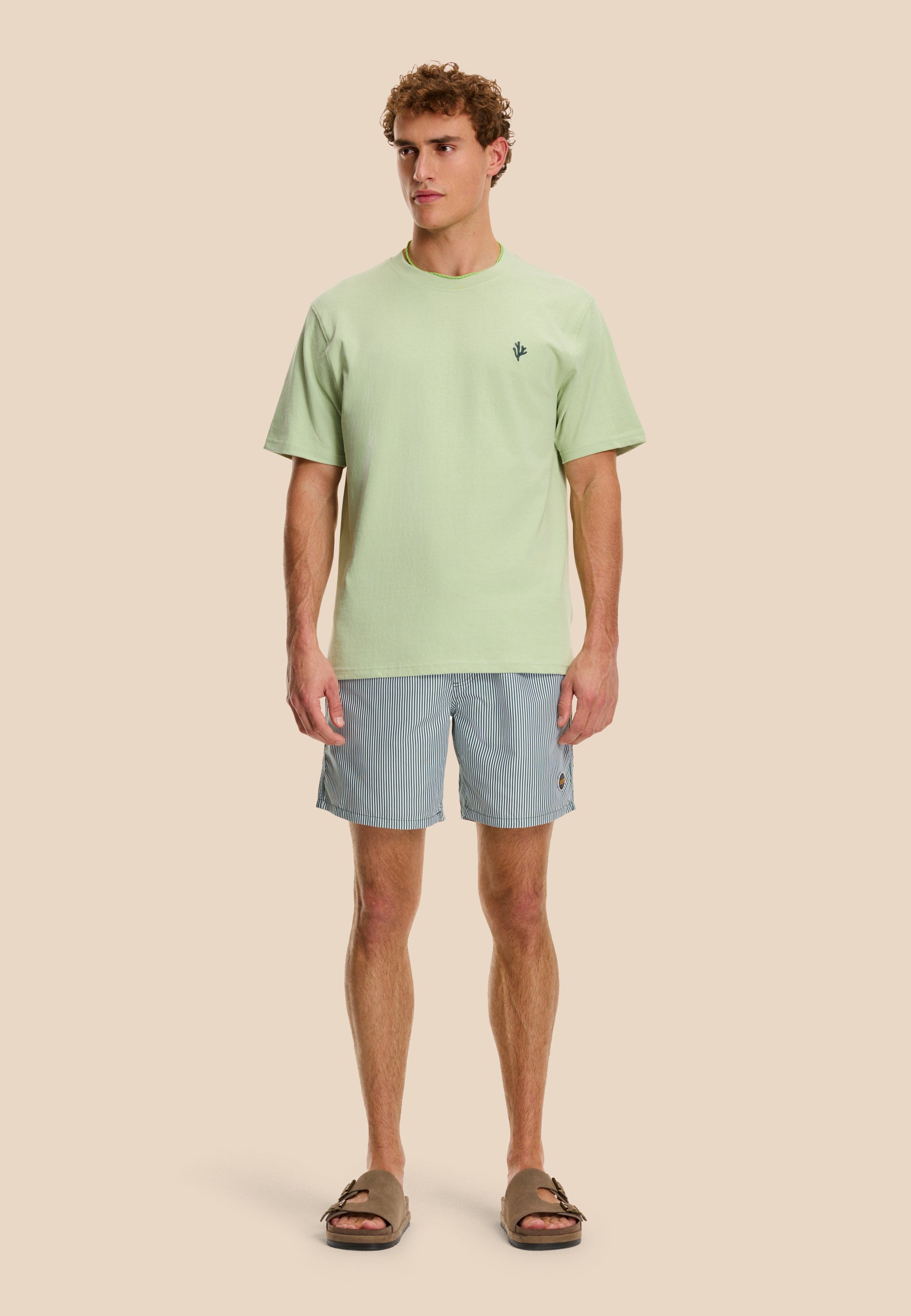 CORAL t-shirt | dust green