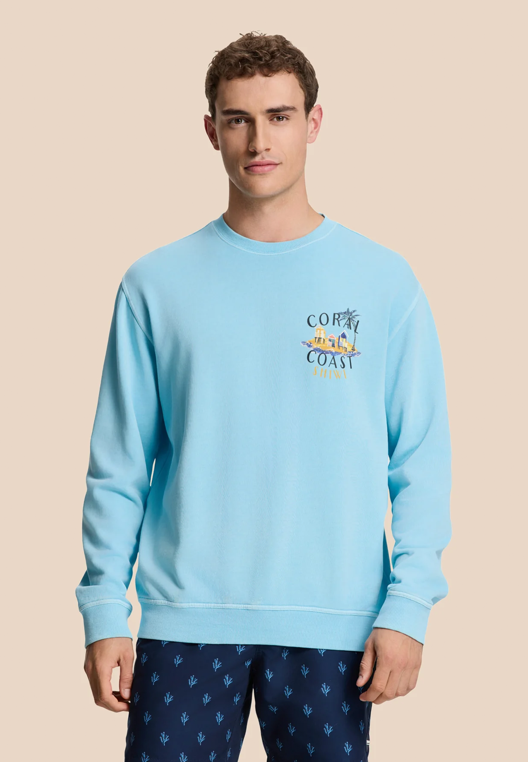 KYLE relaxed fit sweat sketched island | blue sky
