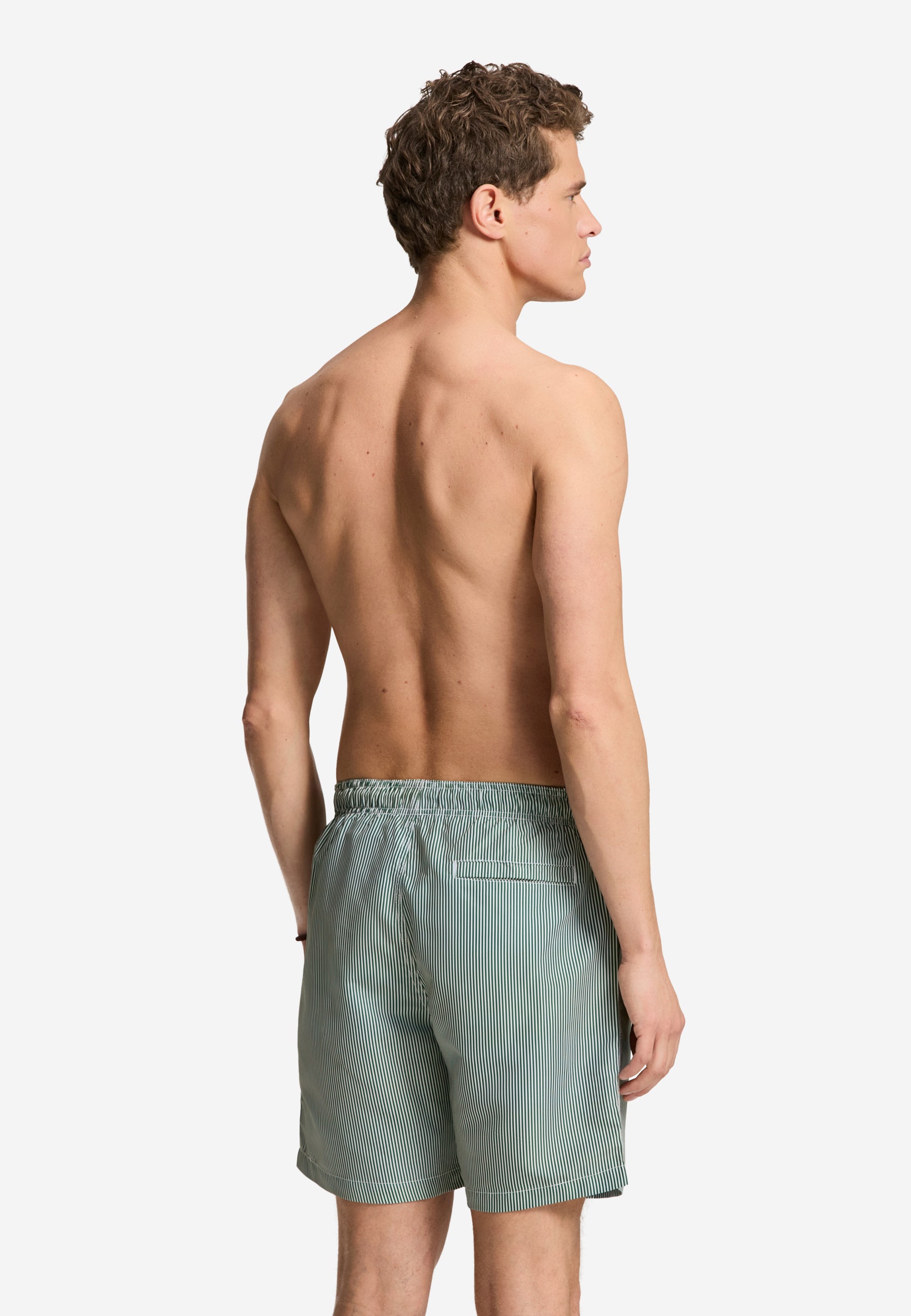 MIKE swim shorts fine stripe | green leaf