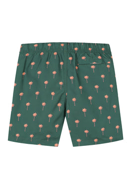 boys swim shorts shiwi scratch palm