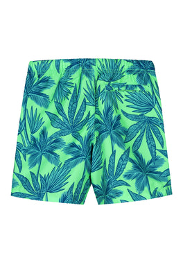 boys swim shorts palm leaves