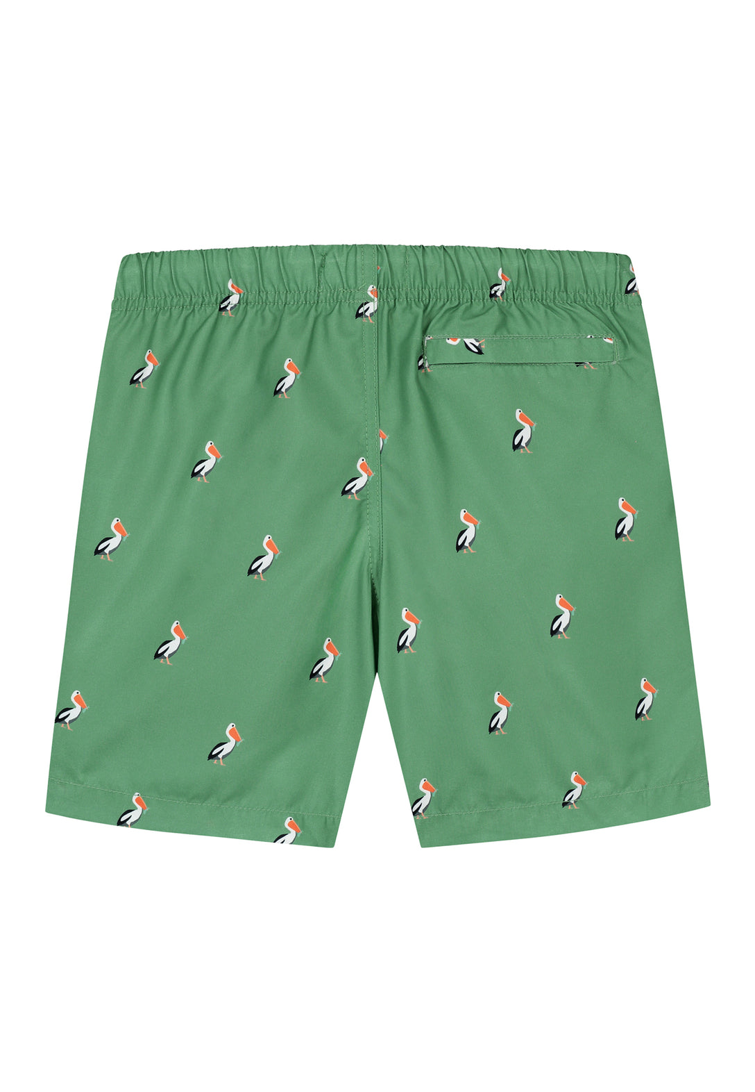 boys swim shorts pelican