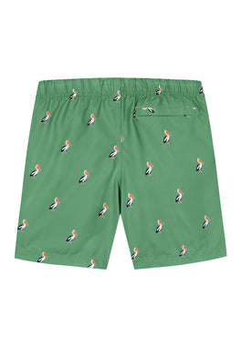 boys swim shorts pelican