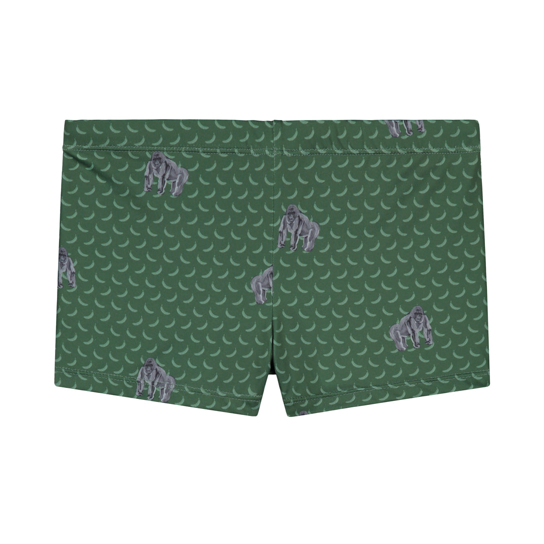 Boys swimboxer gorilla