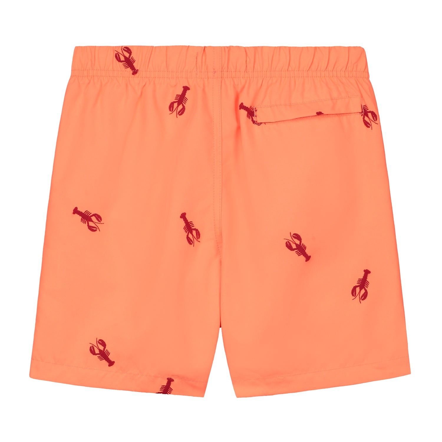 boys swimshort lobster embroidery