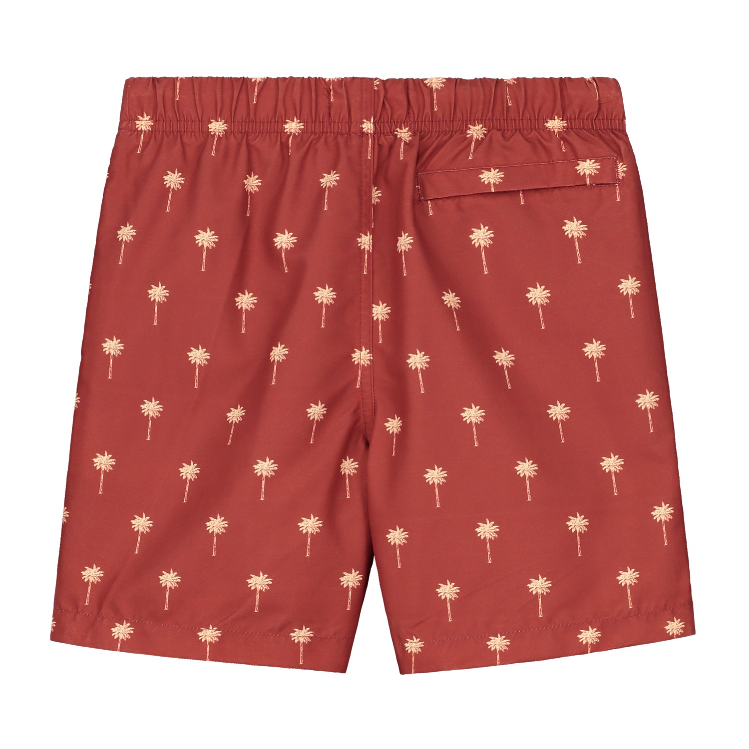boys swimshort scratched shiwi palm
