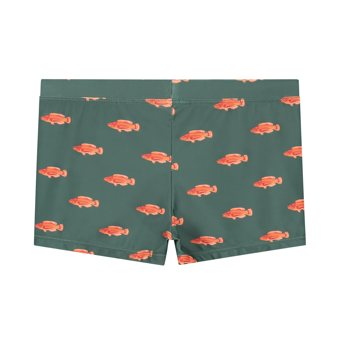 boys swimboxer cod fish